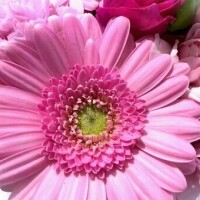 ありがとうございました♥️