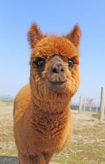 出勤しました🌙