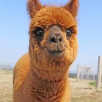 出勤しました🌙