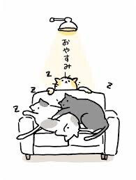 (っ˘꒳˘ｃ)ｽﾔｧ