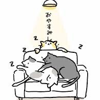 (っ˘꒳˘ｃ)ｽﾔｧ