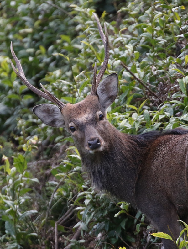 本日もありがとうございました😊