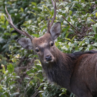 本日もありがとうございました😊