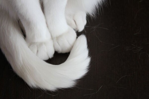 出勤しました☀