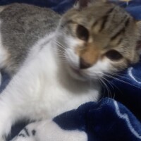 準備中です☀️