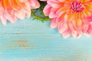 ありがとうございました♥️