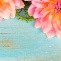 ありがとうございました♥️