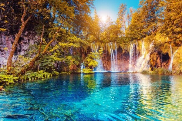 🍀🍀おはようございます🍀🍀