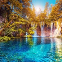 🍀🍀おはようございます🍀🍀