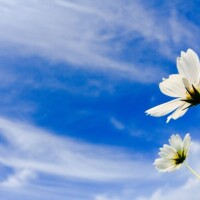 🍀出勤しました🍀