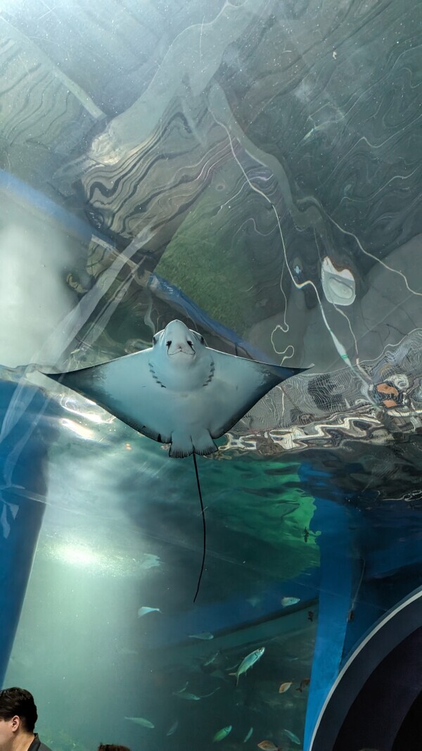 出勤しました☀