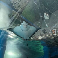 出勤しました☀