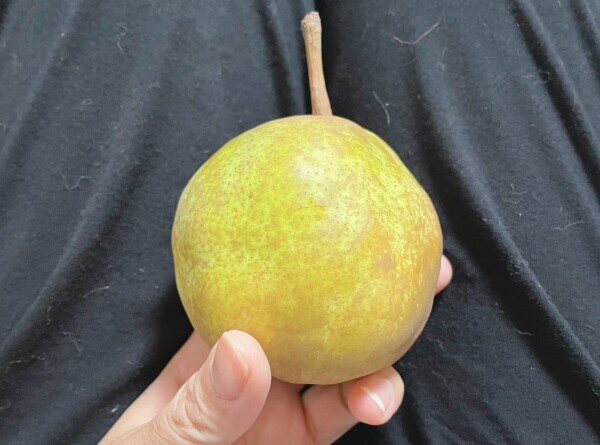 🍐