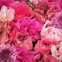 ありがとうございました♥️