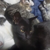 おやすみなさい😴