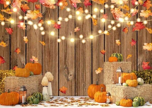 🍁🍁今日は寒いです🍁🍁