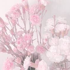 ❤︎準備中❤︎