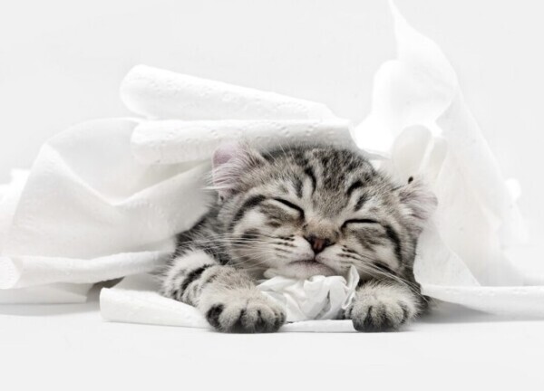 ありがとうございました