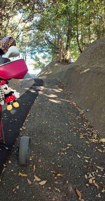 ✨🪷山登りみたいな🪷✨