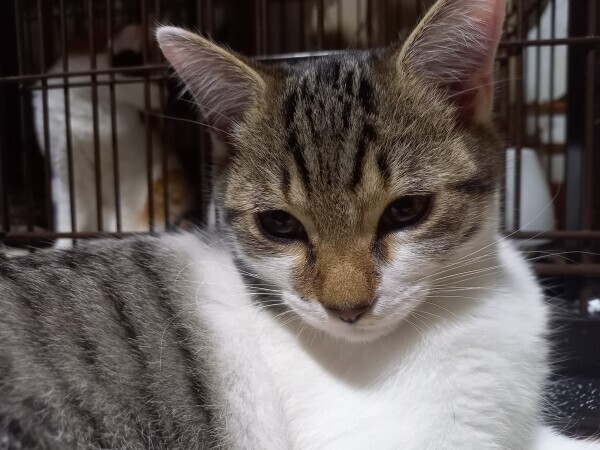 お休み2日目☀️