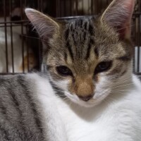 お休み2日目☀️