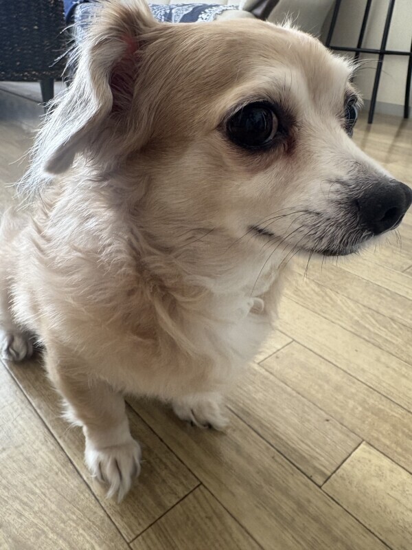 (水)夕方から出勤です🤗