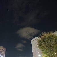 出勤しました♬.*ﾟ