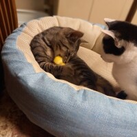 わ〰️😆😹✨