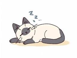 (๑˘ω˘๑)ｽｬｧ…