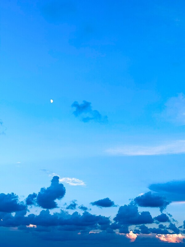 ありがとうございました‎✮⋆˙