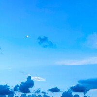 ありがとうございました‎✮⋆˙