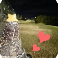 ✨🪷感謝しております🪷✨