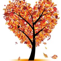 🍁🍁おはようございます🍁🍁