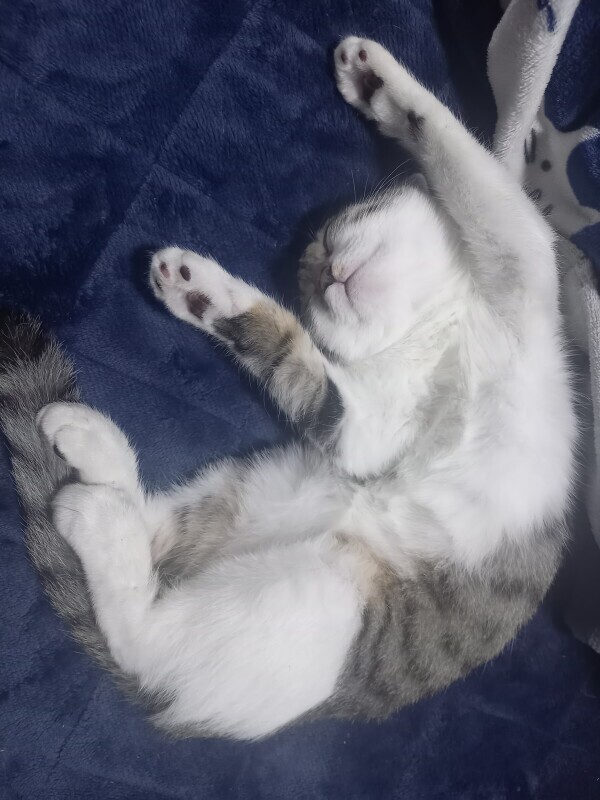 ゴミ出し完了☂️