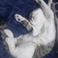 ゴミ出し完了☂️