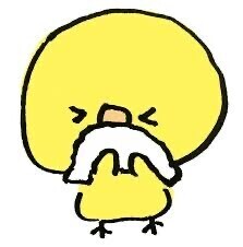 おはようございます☁