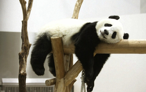 寒くなってきました🥶