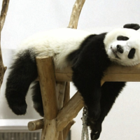 寒くなってきました🥶