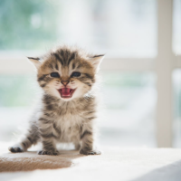 明日夕方より出勤です