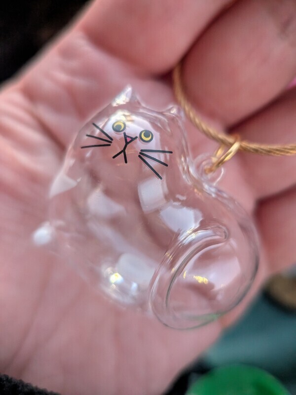 ついに見つけた〜！！！