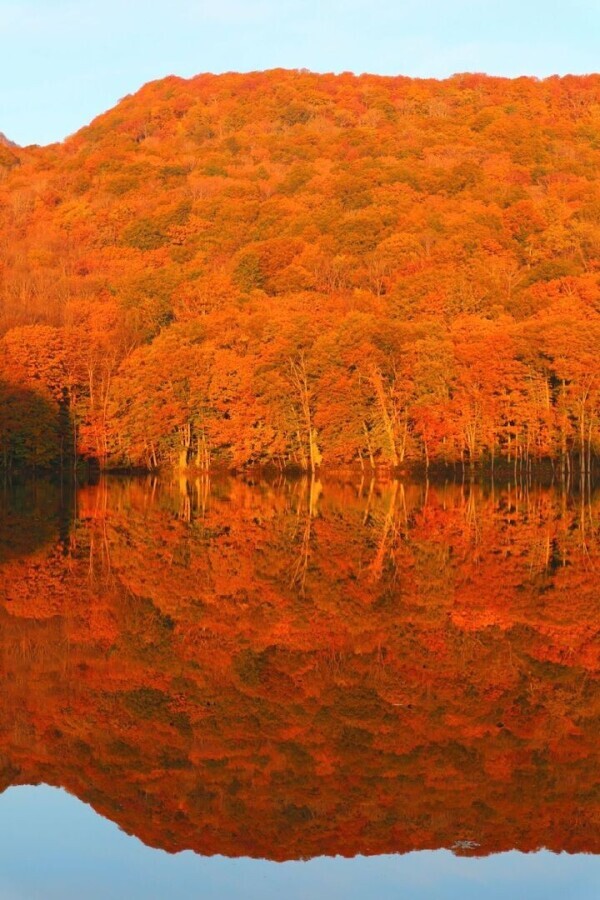 🍁🍁おはようございます🍁🍁