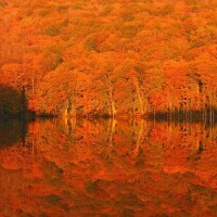 🍁🍁おはようございます🍁🍁