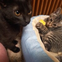 おやすみなさい😴