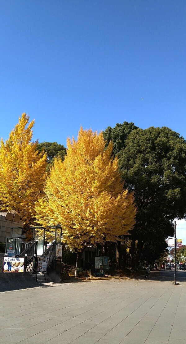 来週 木曜日に出勤致します🙇