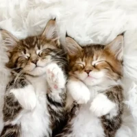 🍀出勤しました🍀今日は遅くまでおります🍀