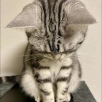 ご予約ありがとうございます