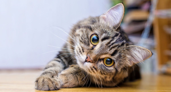 本日はありがとうございました🌿