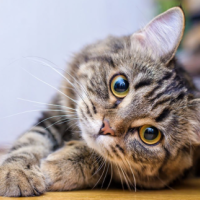 本日はありがとうございました🌿