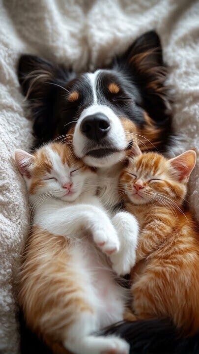 おやすみなさい😴