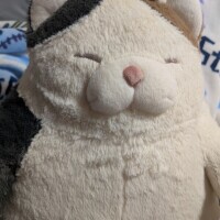 もっふんもっふん